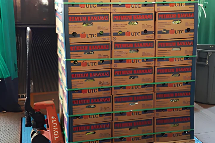 Pesaje de tarimas: Centros de acopio y distribución en Costa Rica