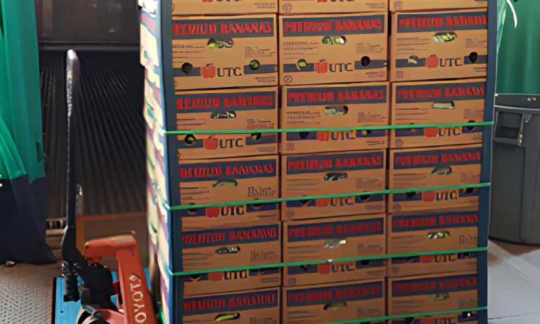Pesaje de tarimas: eficiencia en centros de acopio y distribución