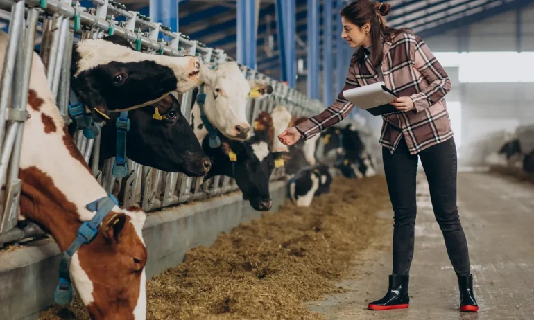 ¿Cómo elegir un proveedor confiable de equipos de pesaje agropecuario?
