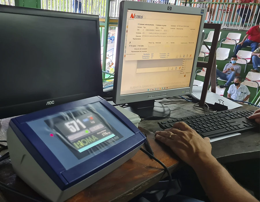 Integración y procesamiento de información