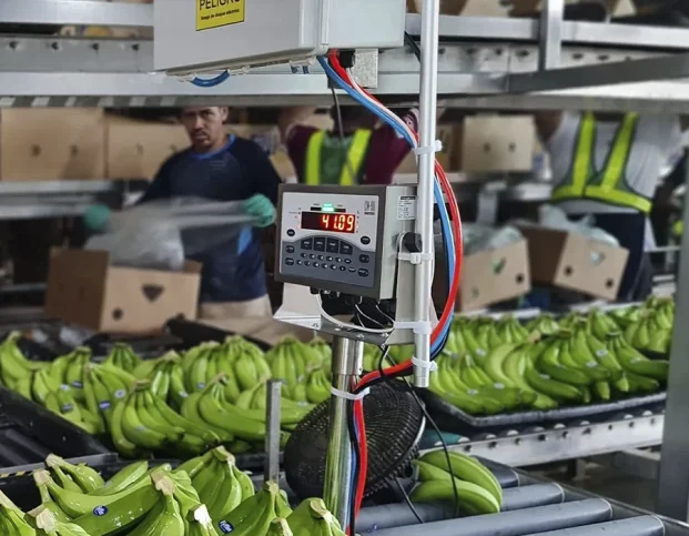 basculas ip69k para lavado industrial costa rica